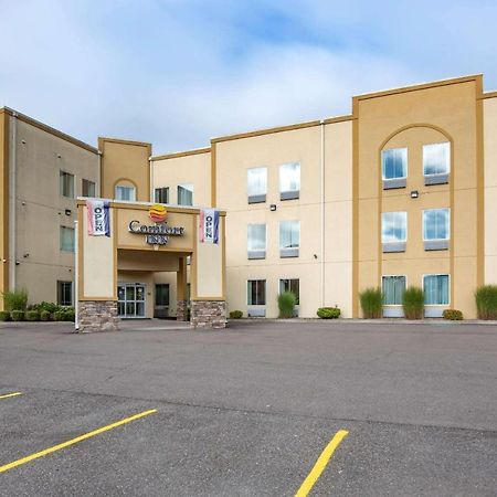 Comfort Inn Apalachin - Binghamton W Route 17 מראה חיצוני תמונה