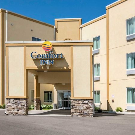 Comfort Inn Apalachin - Binghamton W Route 17 מראה חיצוני תמונה