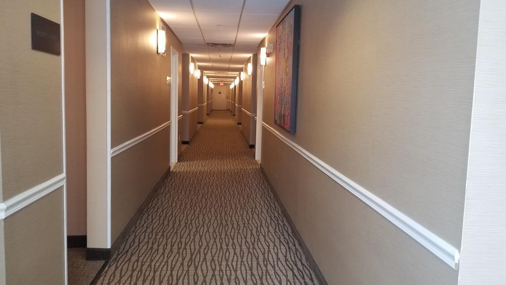 Comfort Inn Apalachin - Binghamton W Route 17 מראה חיצוני תמונה