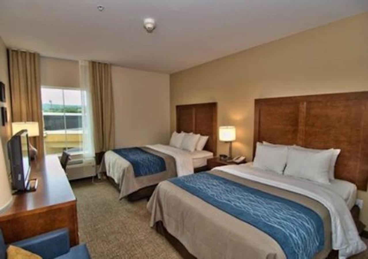 Comfort Inn Apalachin - Binghamton W Route 17 מראה חיצוני תמונה
