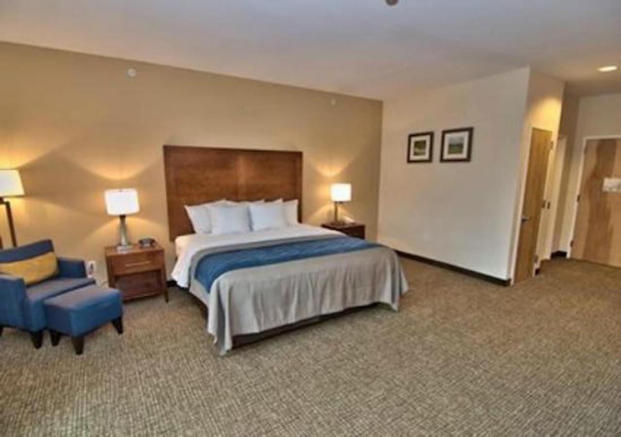 Comfort Inn Apalachin - Binghamton W Route 17 מראה חיצוני תמונה