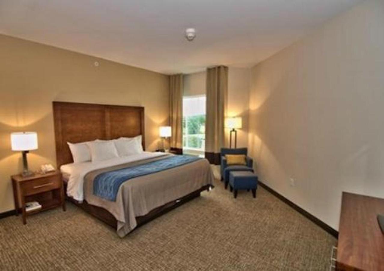 Comfort Inn Apalachin - Binghamton W Route 17 מראה חיצוני תמונה