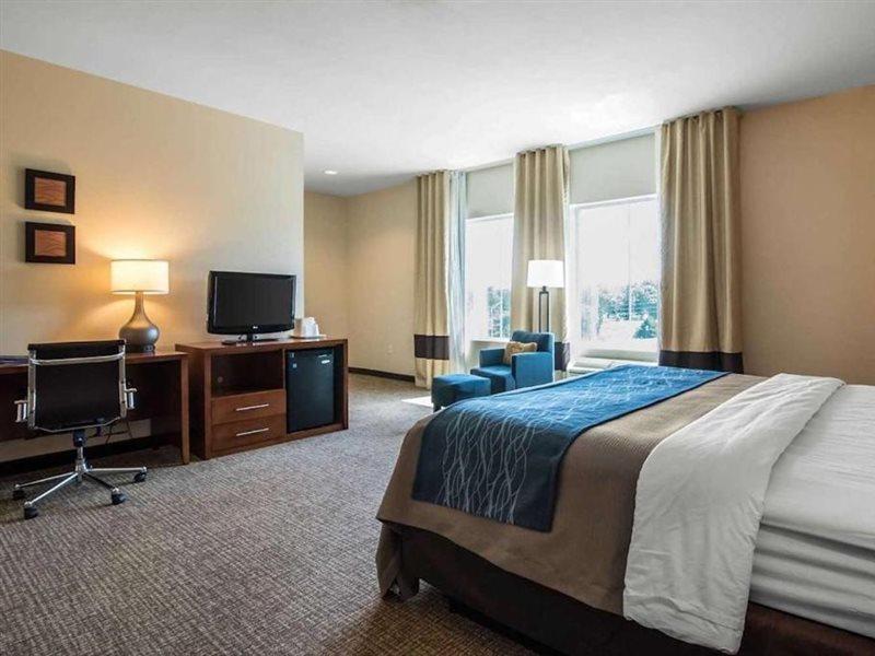 Comfort Inn Apalachin - Binghamton W Route 17 מראה חיצוני תמונה