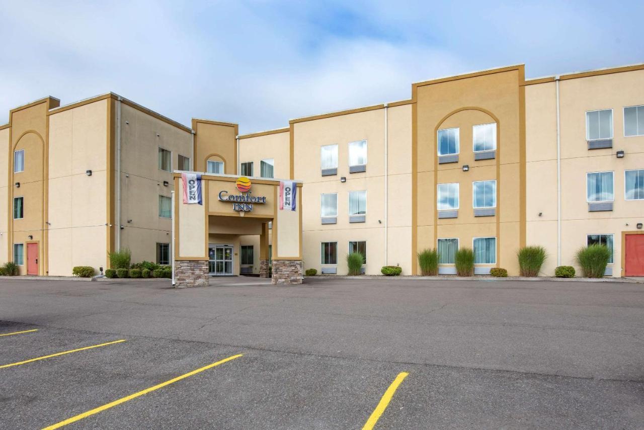 Comfort Inn Apalachin - Binghamton W Route 17 מראה חיצוני תמונה