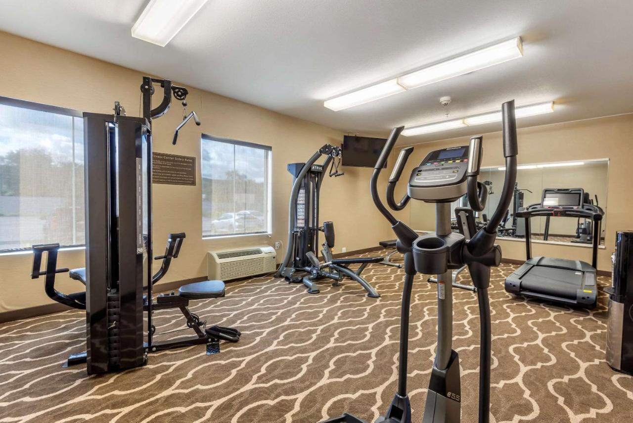 Comfort Inn Apalachin - Binghamton W Route 17 מראה חיצוני תמונה