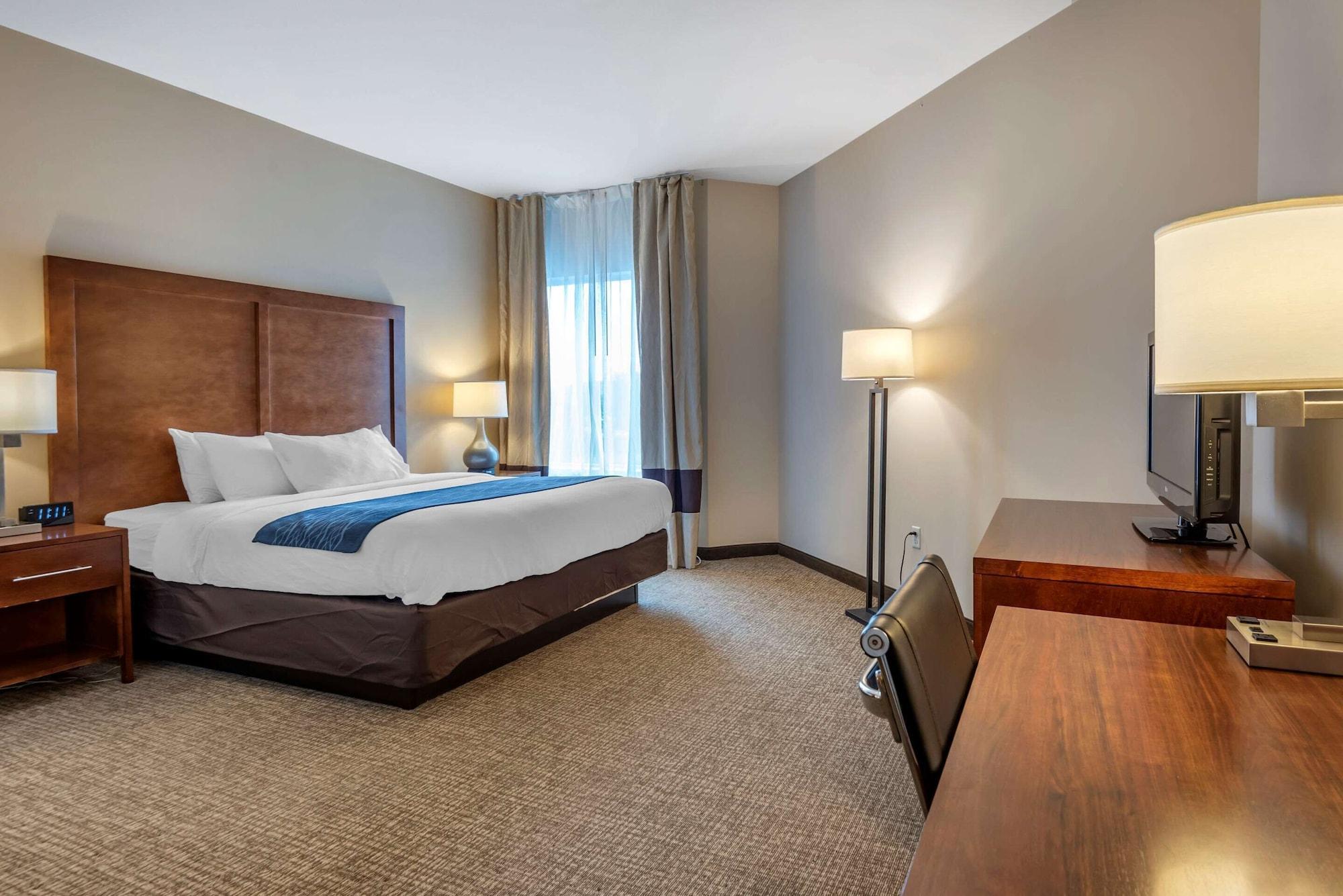Comfort Inn Apalachin - Binghamton W Route 17 מראה חיצוני תמונה