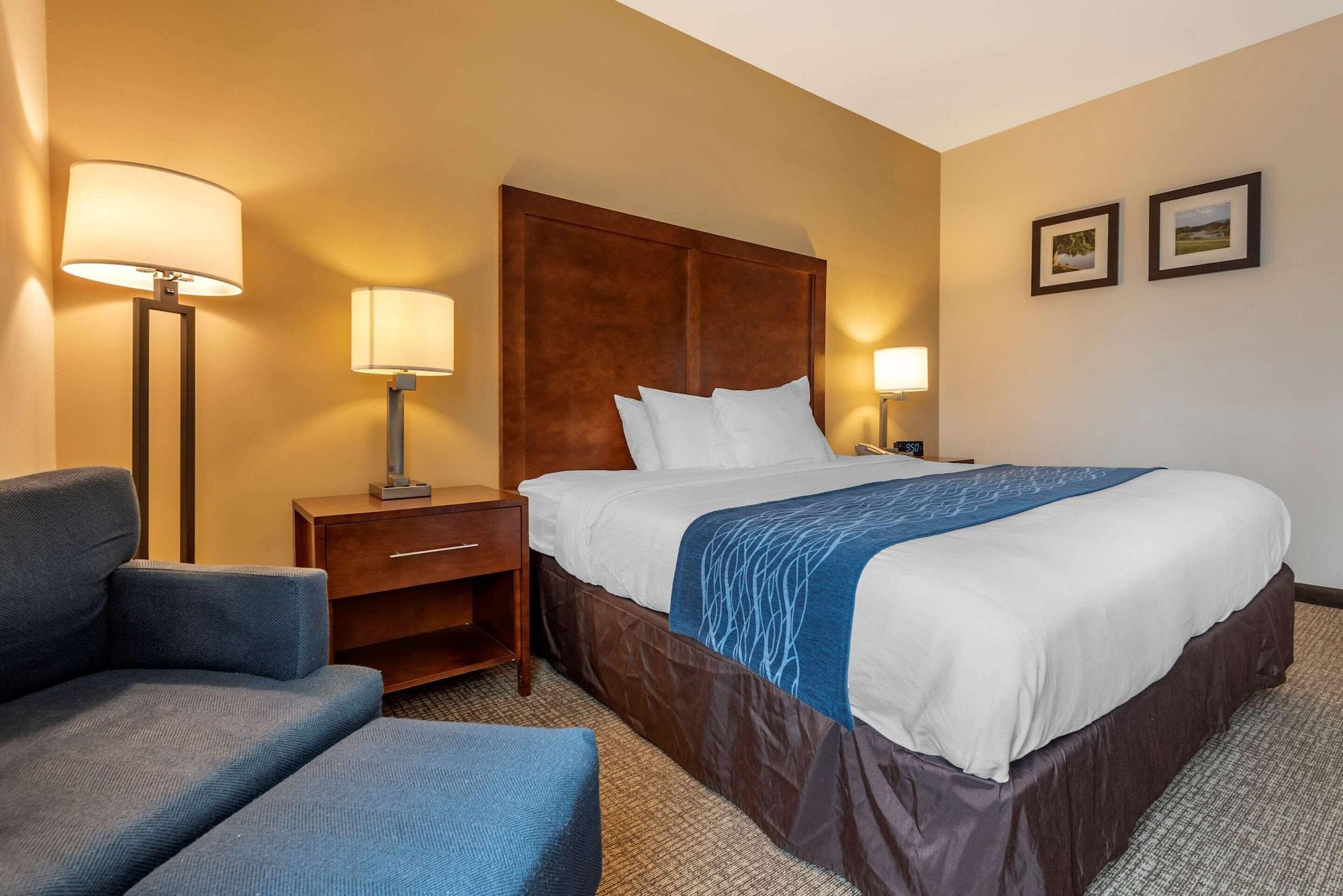 Comfort Inn Apalachin - Binghamton W Route 17 מראה חיצוני תמונה