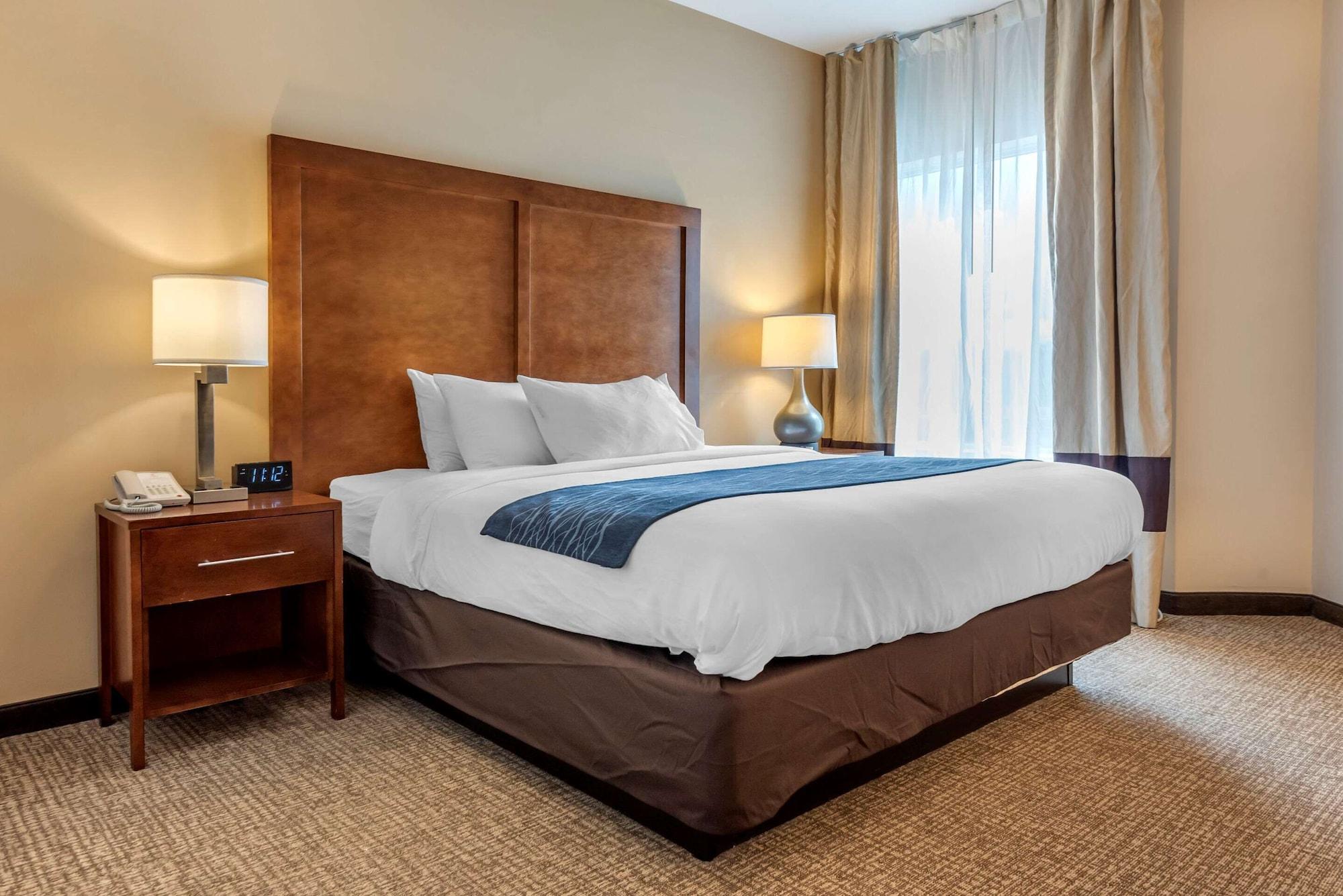 Comfort Inn Apalachin - Binghamton W Route 17 מראה חיצוני תמונה