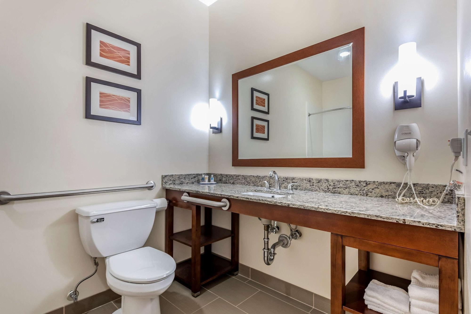 Comfort Inn Apalachin - Binghamton W Route 17 מראה חיצוני תמונה