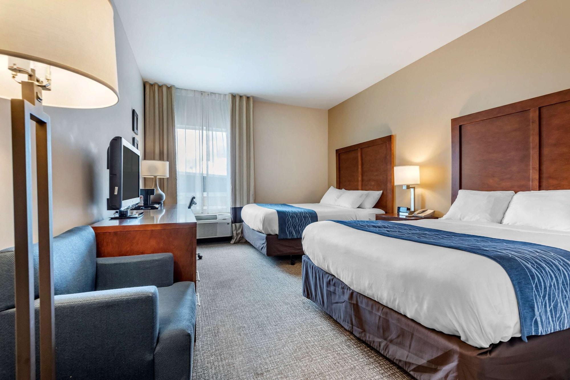 Comfort Inn Apalachin - Binghamton W Route 17 מראה חיצוני תמונה
