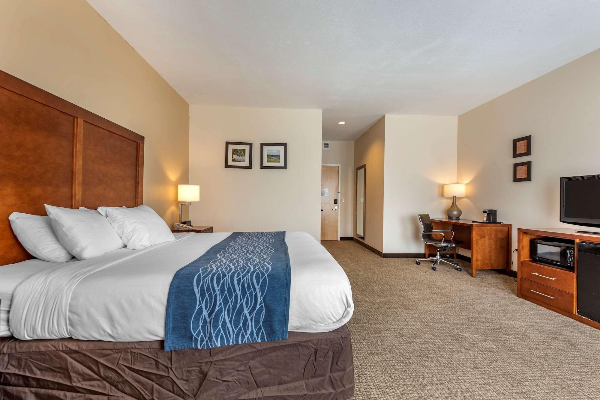 Comfort Inn Apalachin - Binghamton W Route 17 מראה חיצוני תמונה