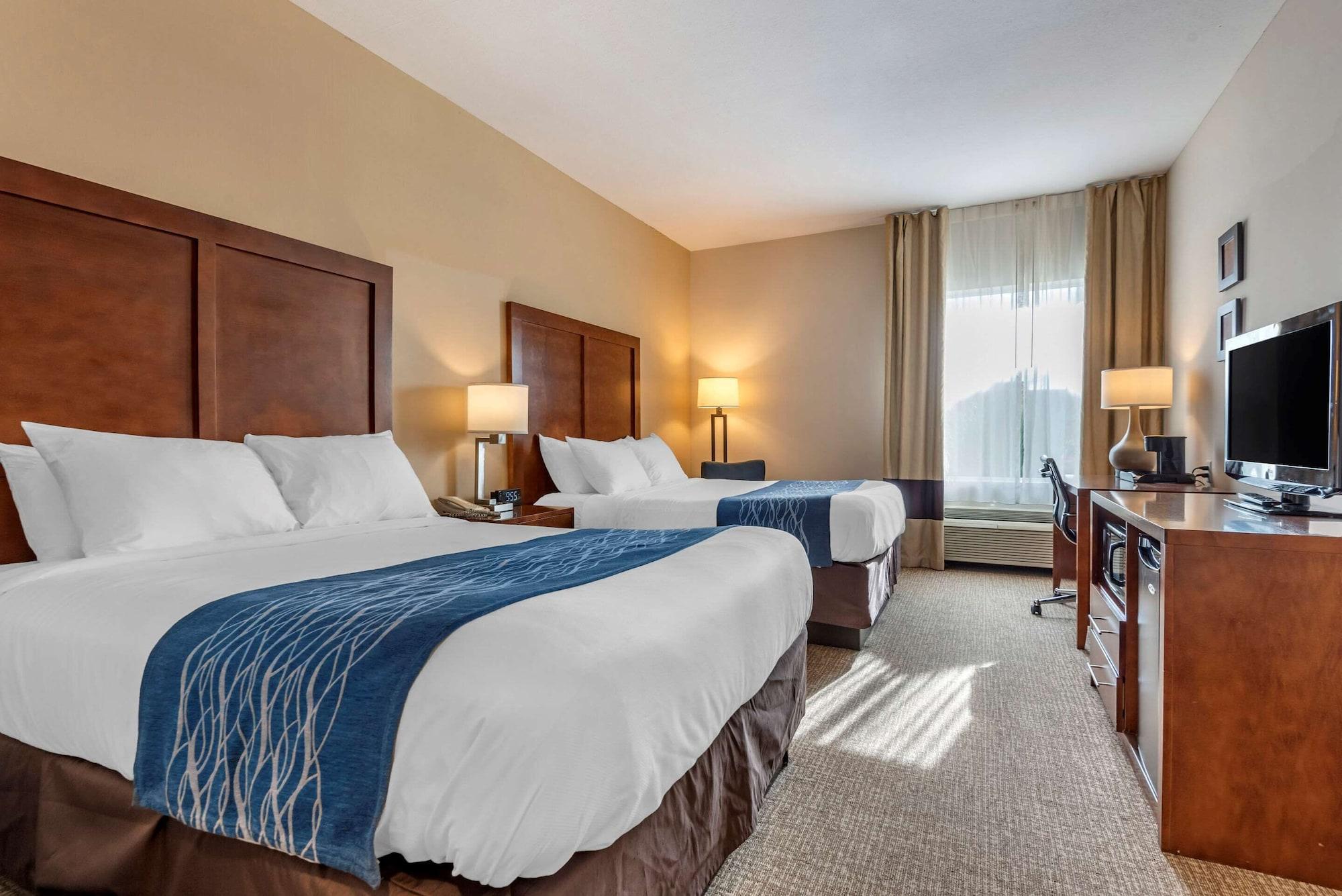 Comfort Inn Apalachin - Binghamton W Route 17 מראה חיצוני תמונה