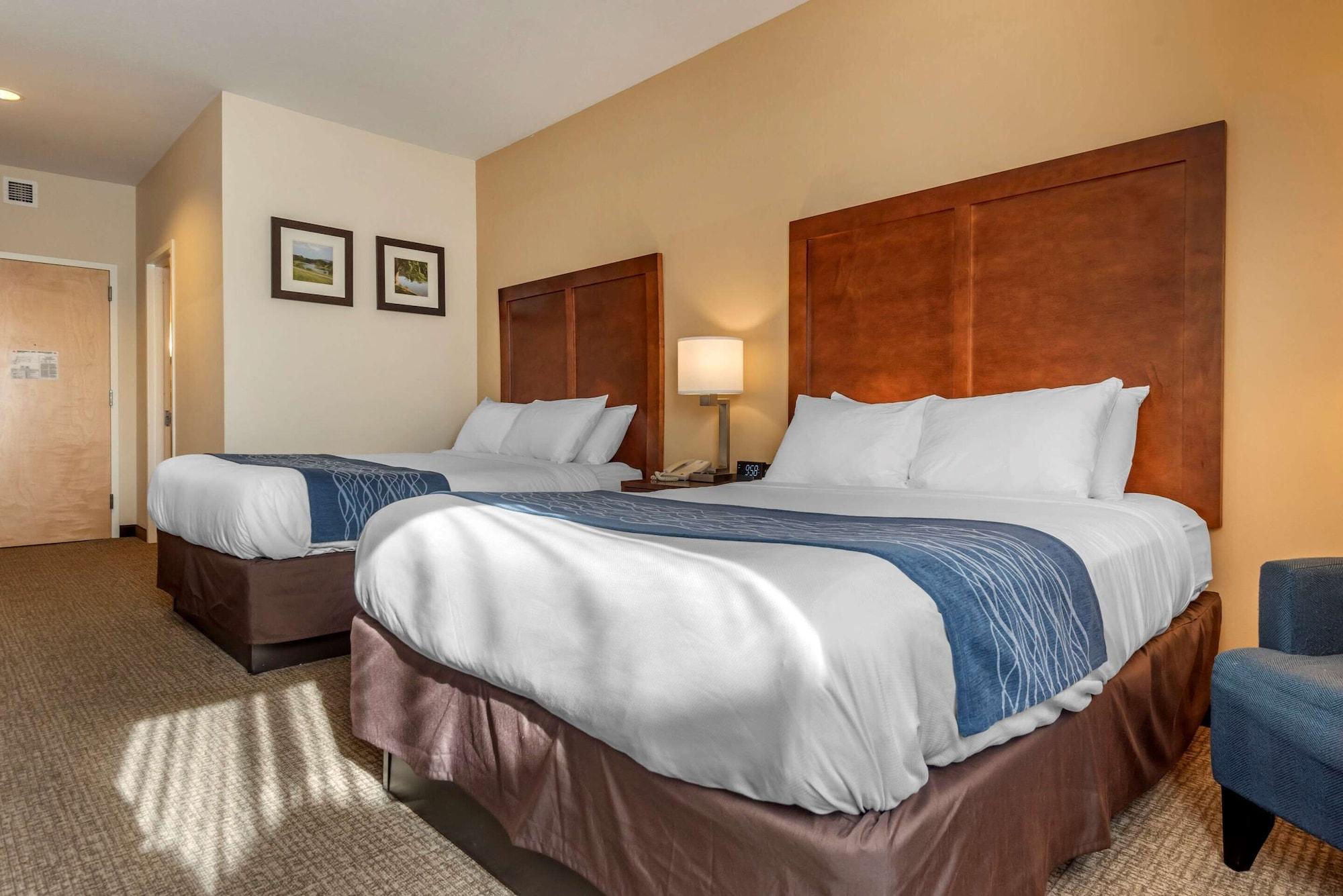 Comfort Inn Apalachin - Binghamton W Route 17 מראה חיצוני תמונה