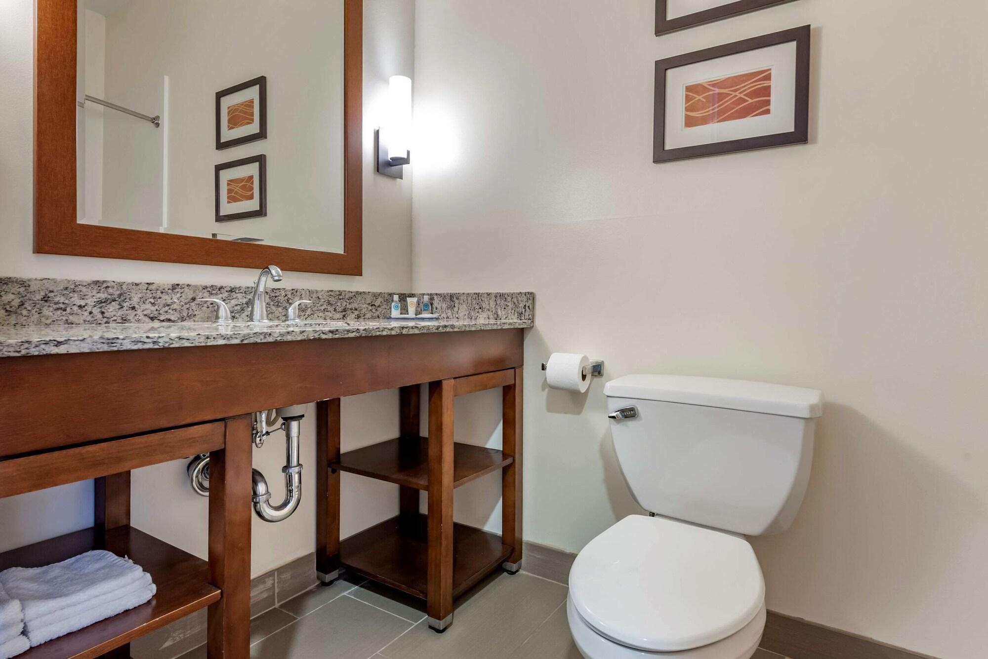 Comfort Inn Apalachin - Binghamton W Route 17 מראה חיצוני תמונה