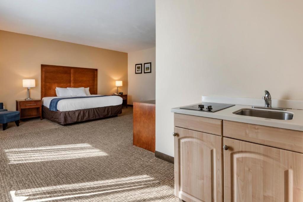 Comfort Inn Apalachin - Binghamton W Route 17 מראה חיצוני תמונה