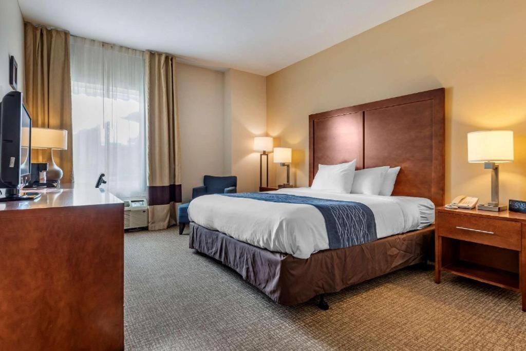 Comfort Inn Apalachin - Binghamton W Route 17 מראה חיצוני תמונה