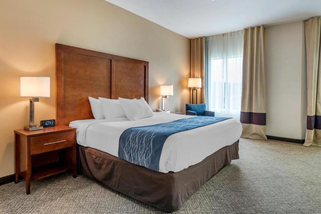Comfort Inn Apalachin - Binghamton W Route 17 מראה חיצוני תמונה