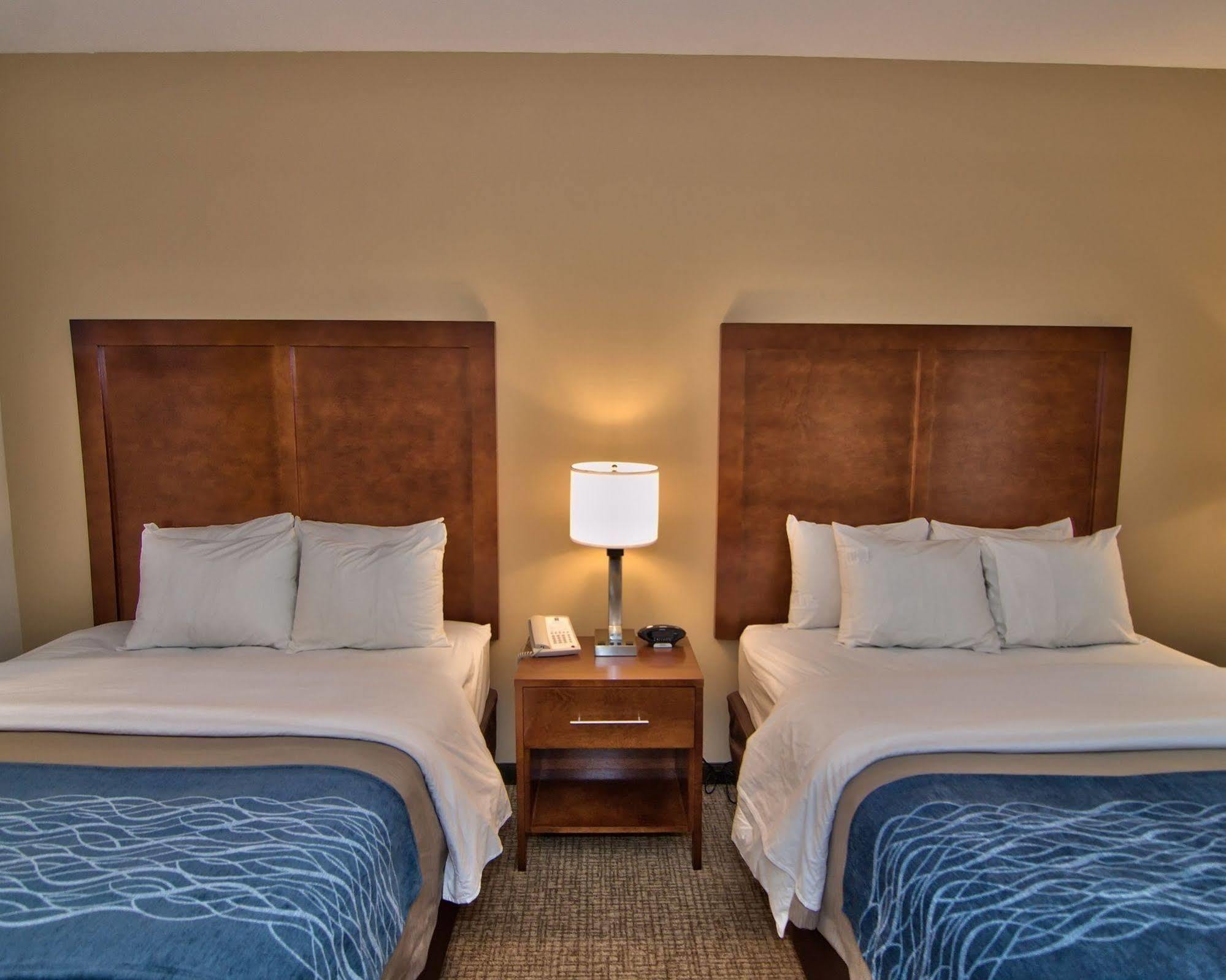 Comfort Inn Apalachin - Binghamton W Route 17 מראה חיצוני תמונה